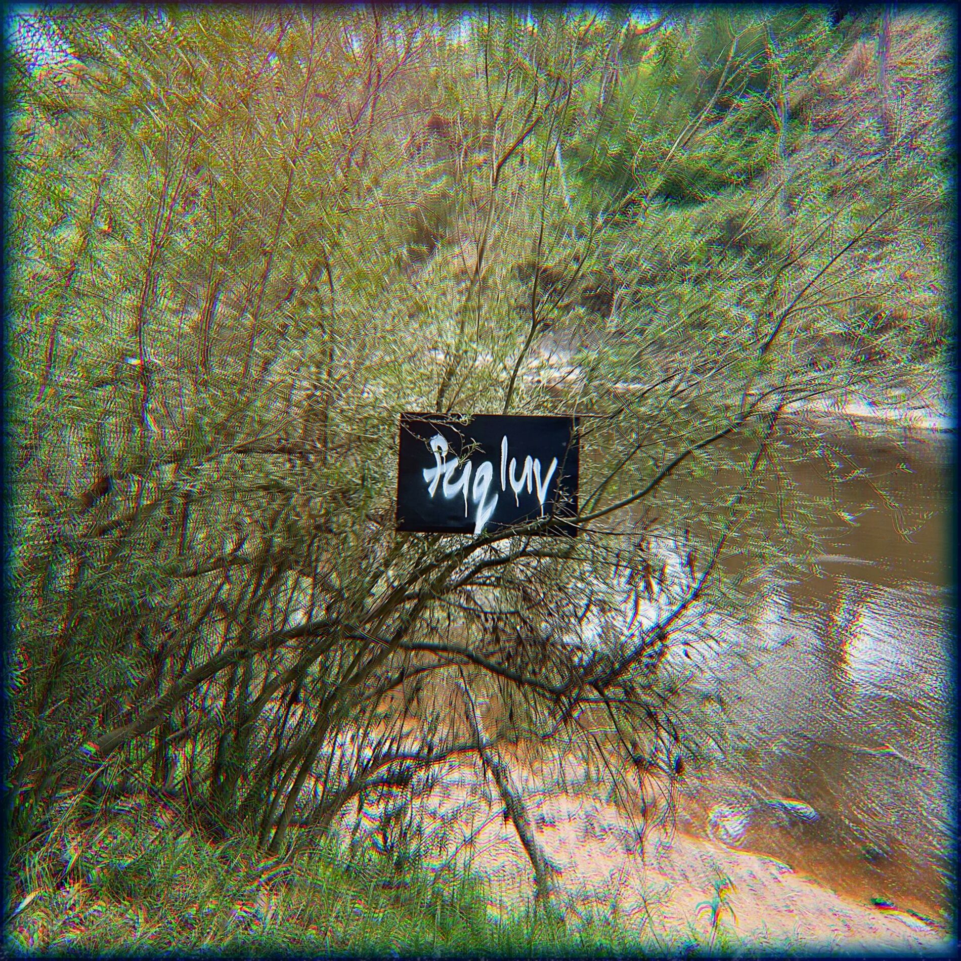 Album cover of fuqluv (feat. Asia)