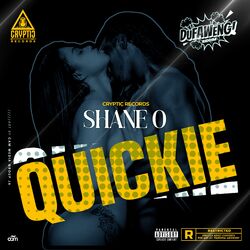Cover of Quickie (Dufaweng! Riddim) (Clean)