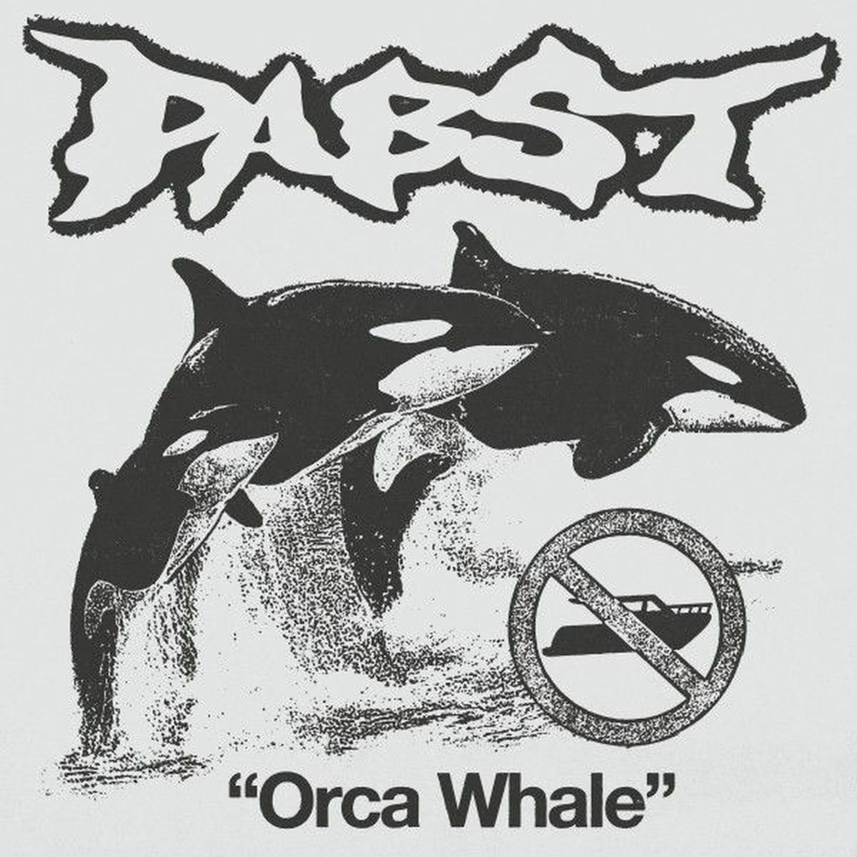 Album cover of Orca Whale