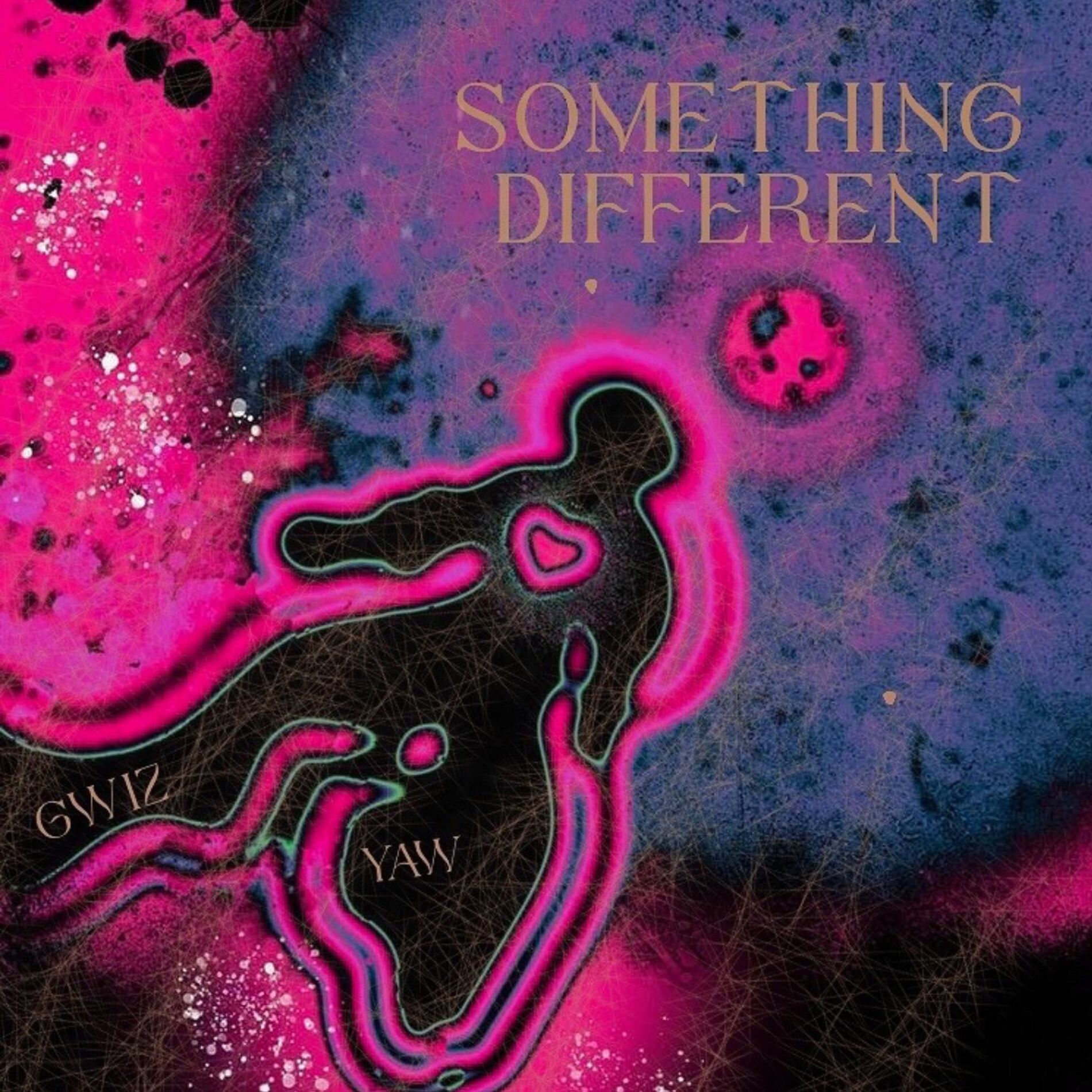 Album cover of Something Different