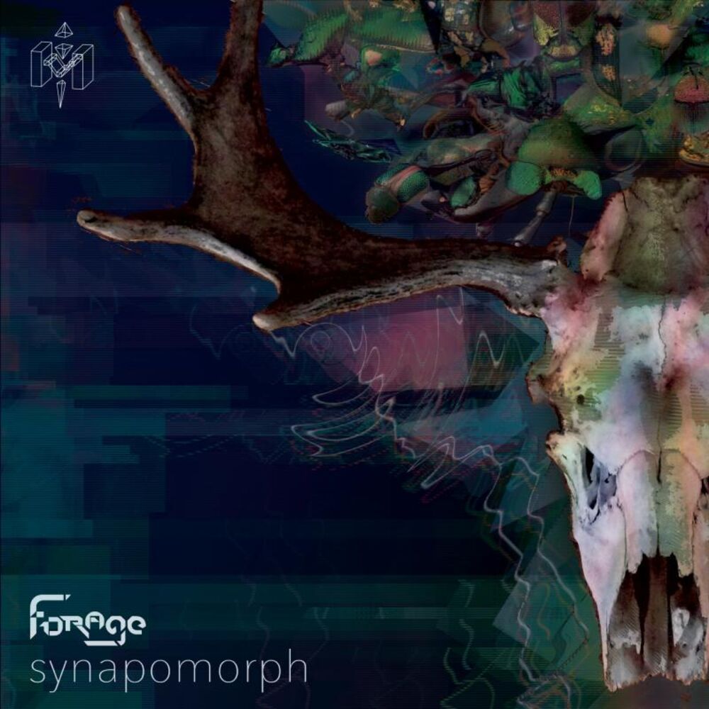 Picture of Synapomorph