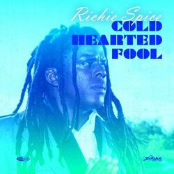 Cover of Cold Hearted Fool