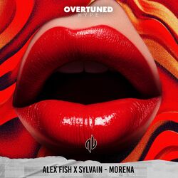 Cover of Morena