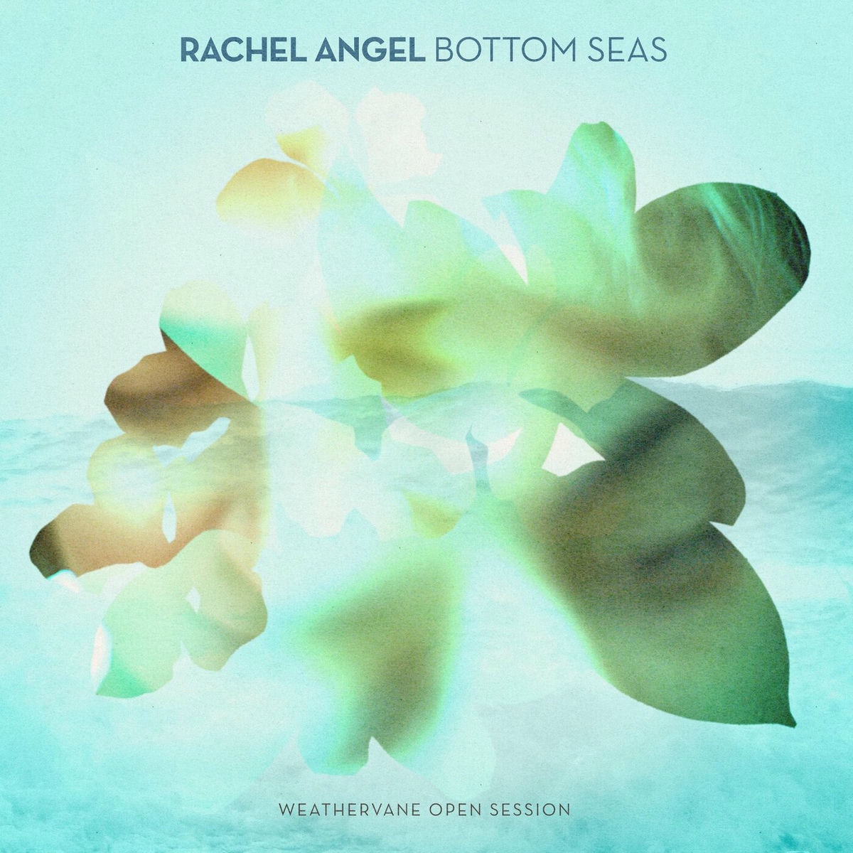 Album cover of Bottom Seas