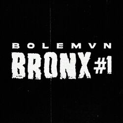 Cover of Bronx #1
