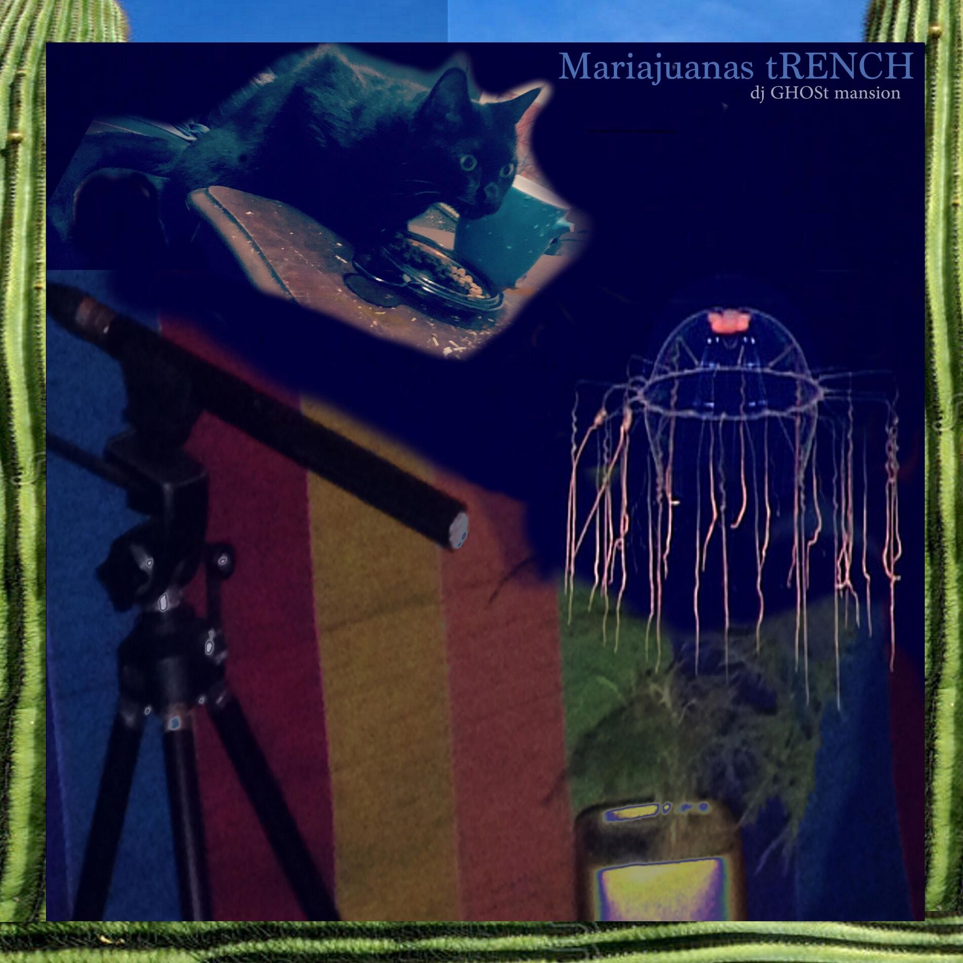 Album cover of Mariajuanas Trench