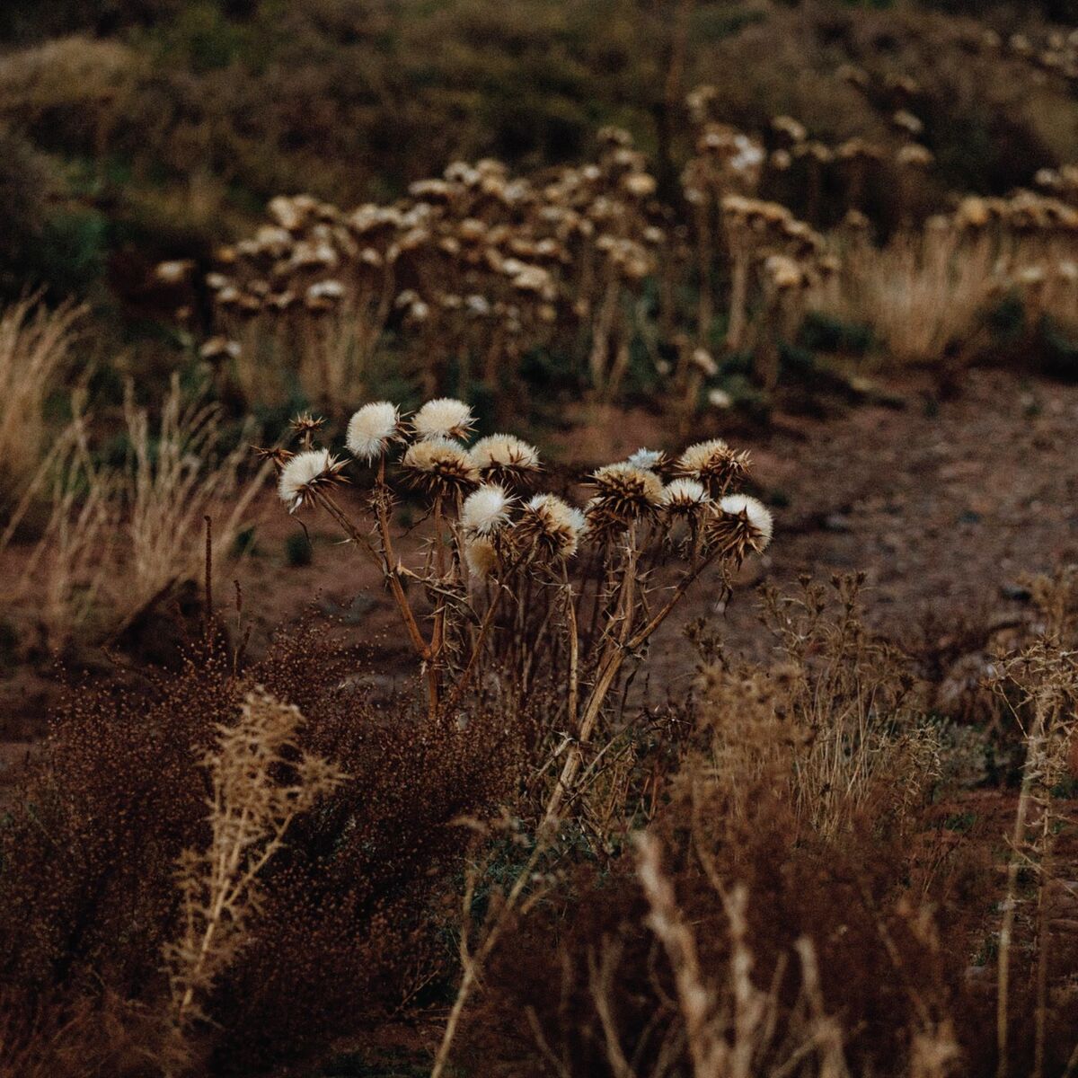 Album cover of The Fundamental Nature of Being, Part Two