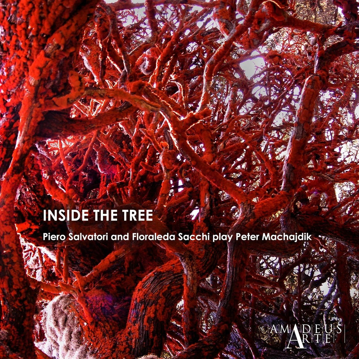 Album cover of Inside the Tree