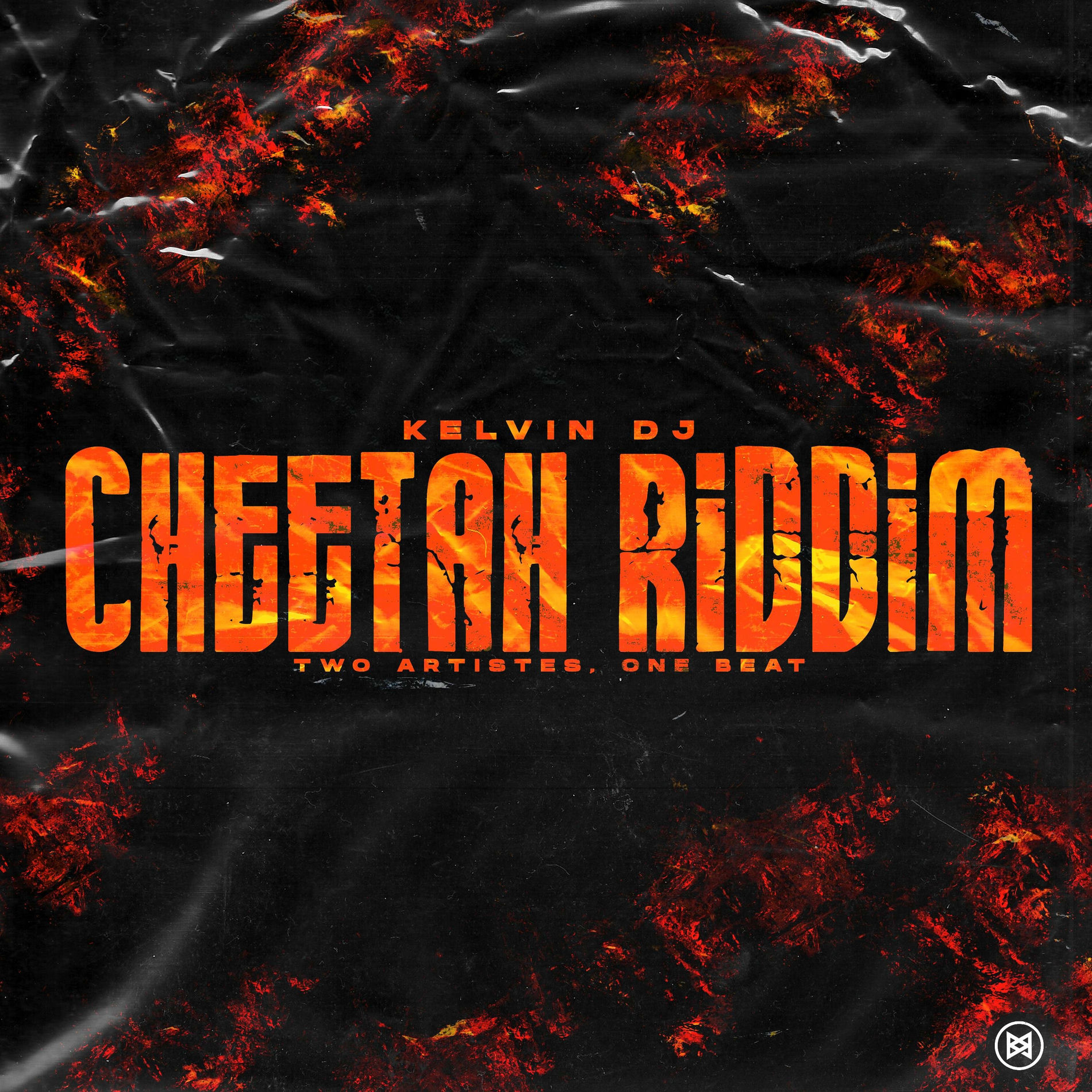 Album cover of CHEETAH RIDDIM