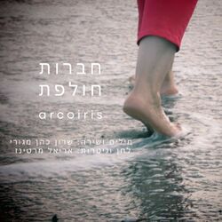 Cover of חברות חולפת