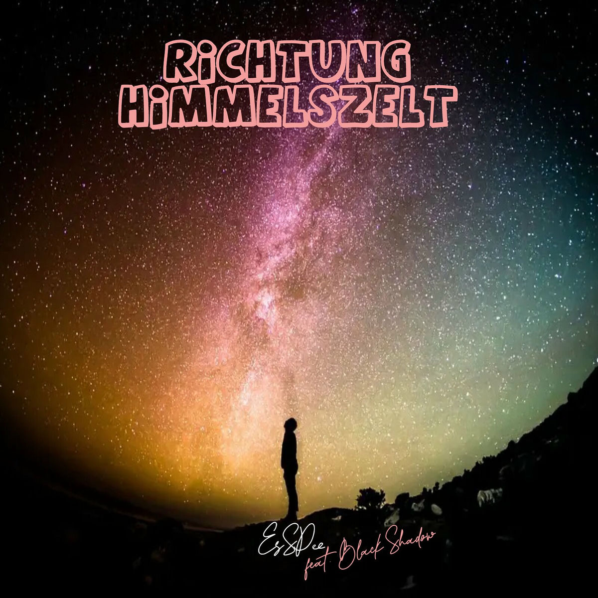 Album cover of Richtung Himmelszelt