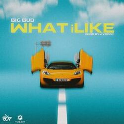 Cover of What iLike