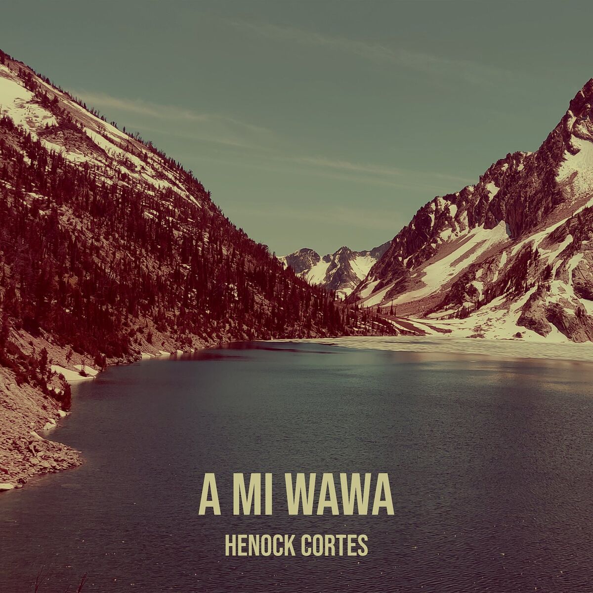 Album cover of A MI Wawa