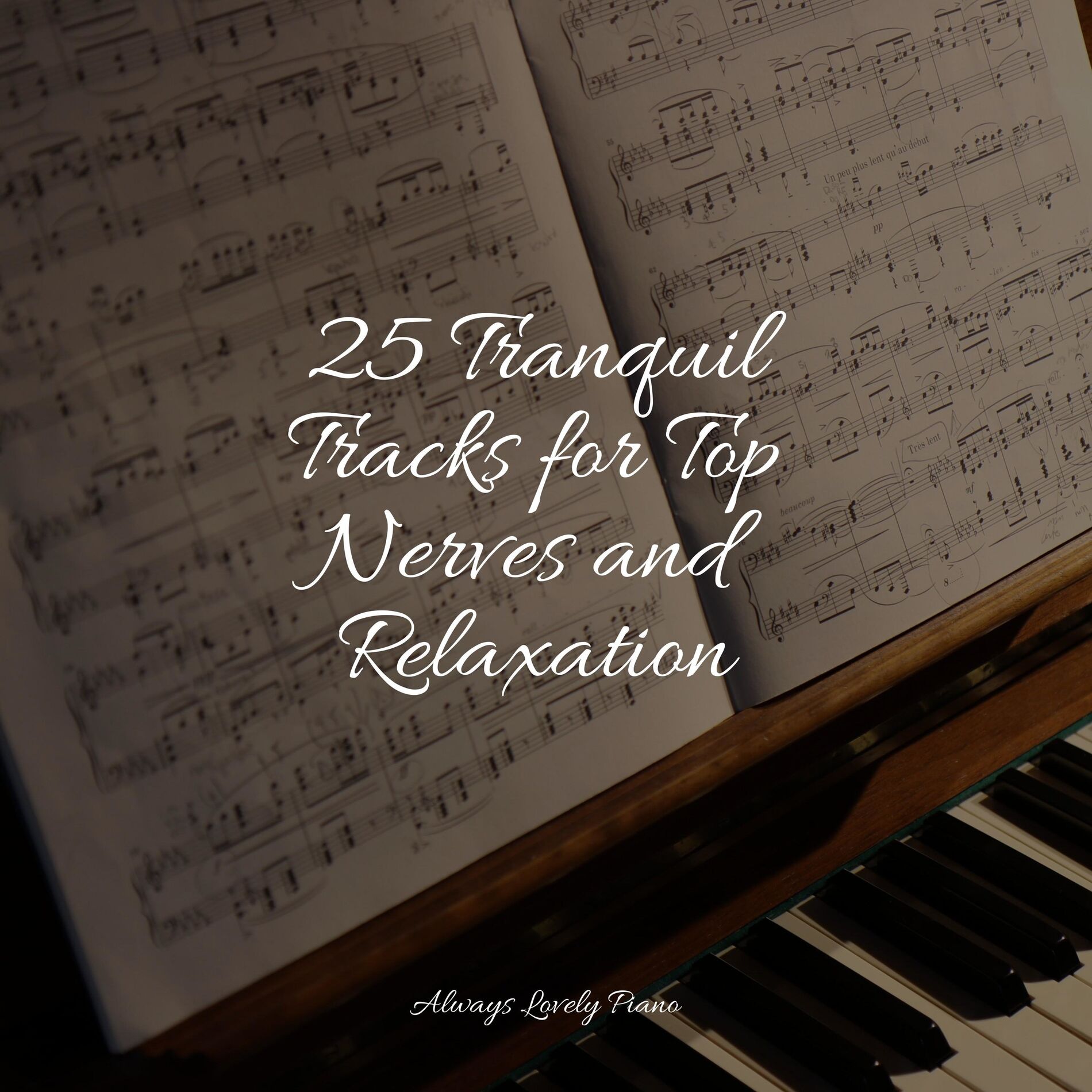Album cover of 25 Tranquil Tracks for Top Nerves and Relaxation