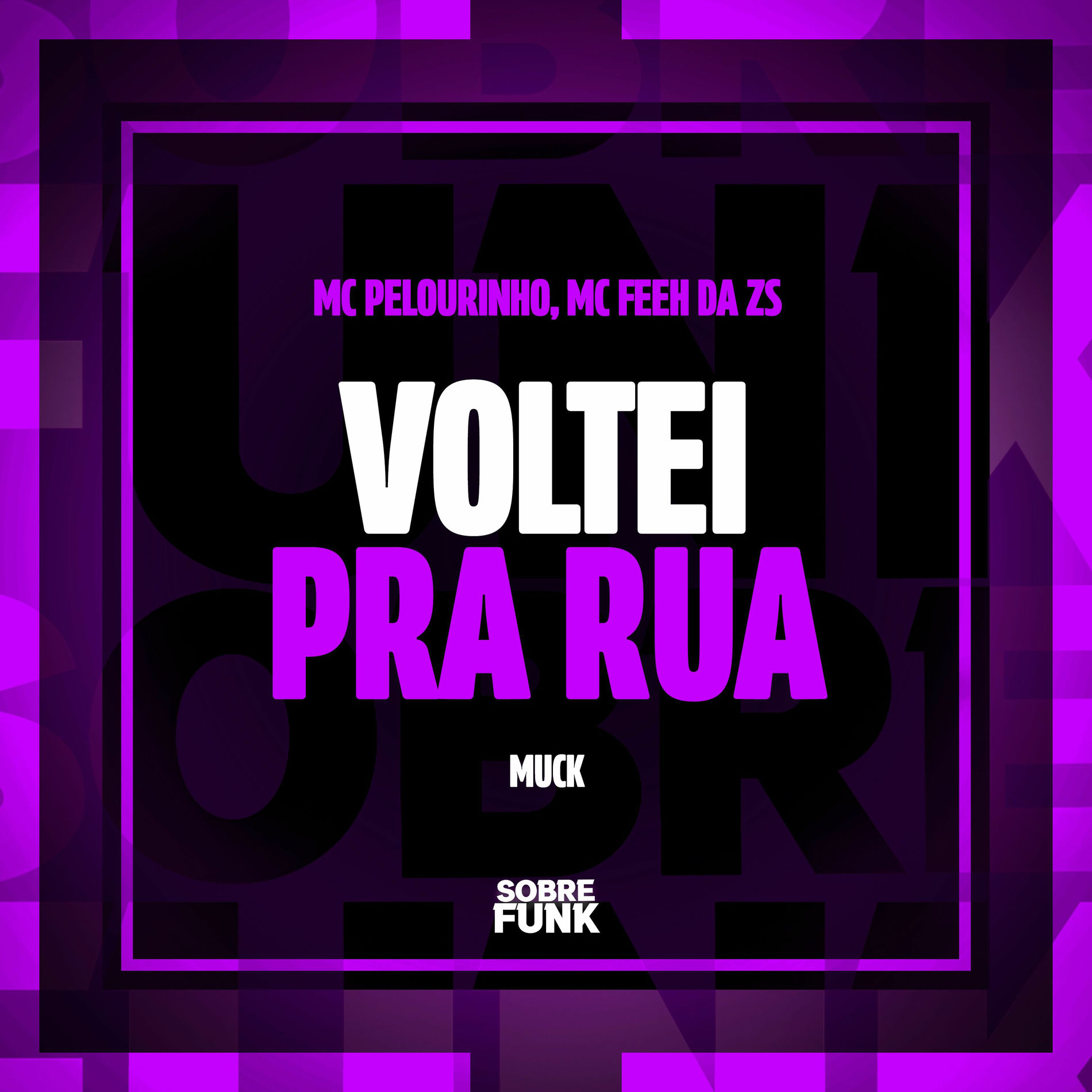 Album cover of VOLTEI PRA RUA
