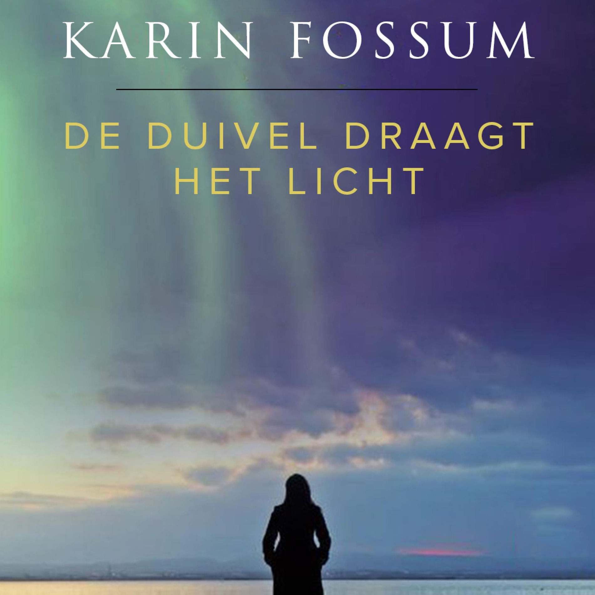 Album cover of De duivel draagt het licht