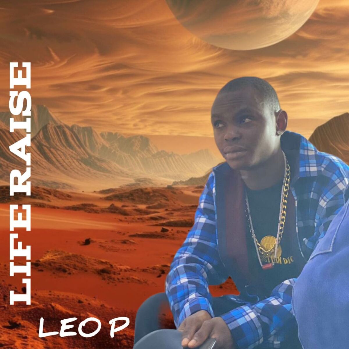 Album cover of LIFE RAISE
