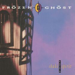 Cover of Shake Your Spirit