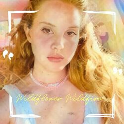 Cover of Wildflower Wildfire