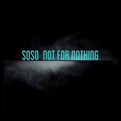 Cover of Not for Nothing
