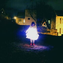 Cover of Everything