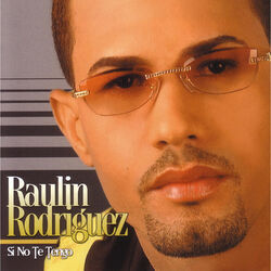 Cover of Si No Te Tengo