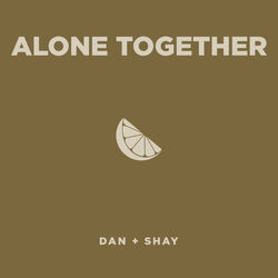 Cover of Alone Together