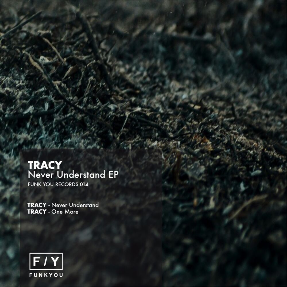 Picture of Never Understand