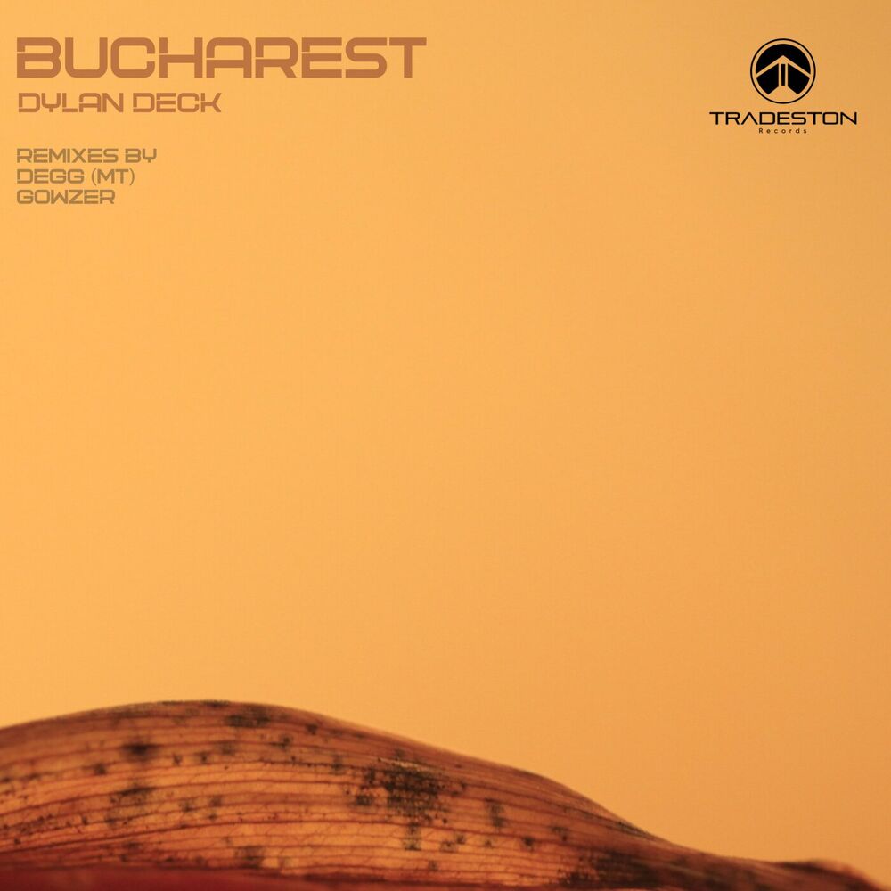 Picture of Bucharest