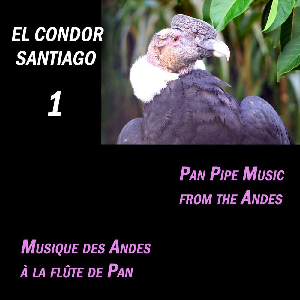 Picture of El Condor Santiago 1, Pan Pipe Music from the Andes (Musique des Andes à la flûte de Pan)