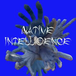Cover of Native Intelligence