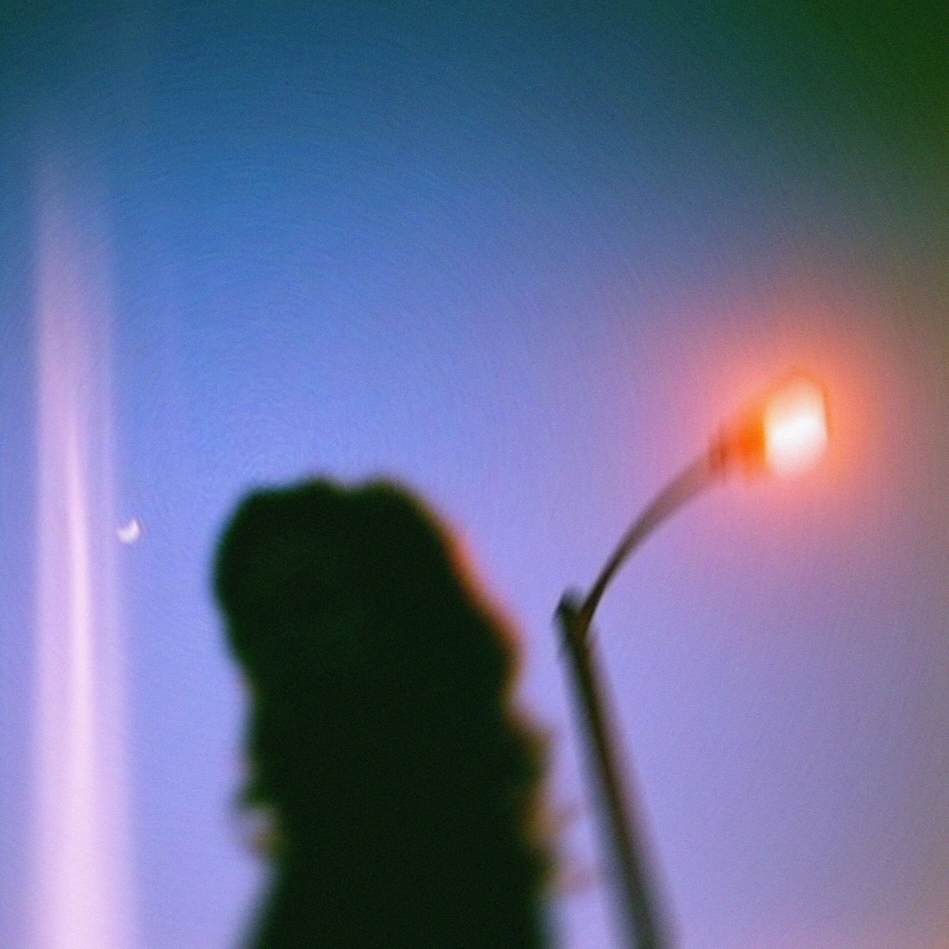 Album cover of Ceiling Lights