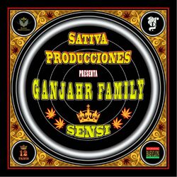 Cover of Sensi