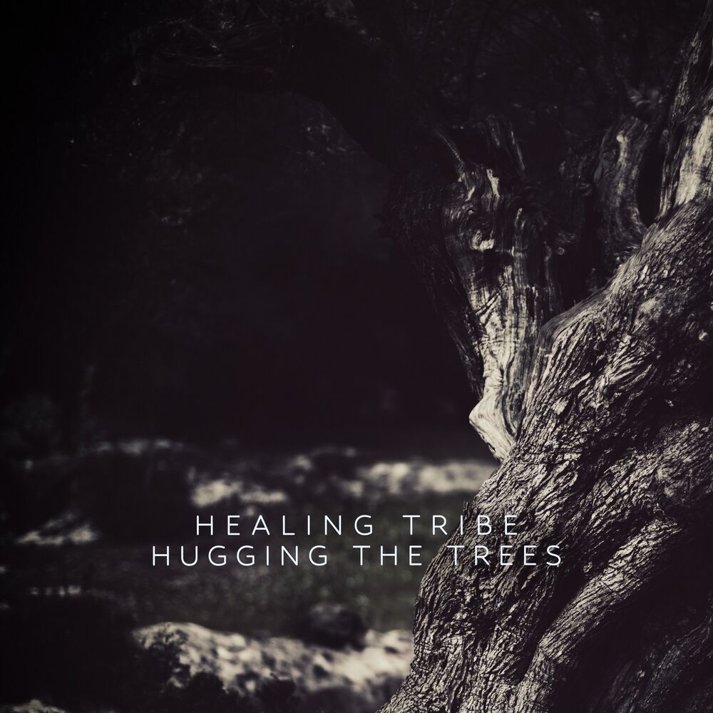 Picture of Hugging the trees