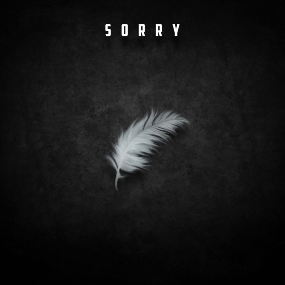 Picture of Sorry