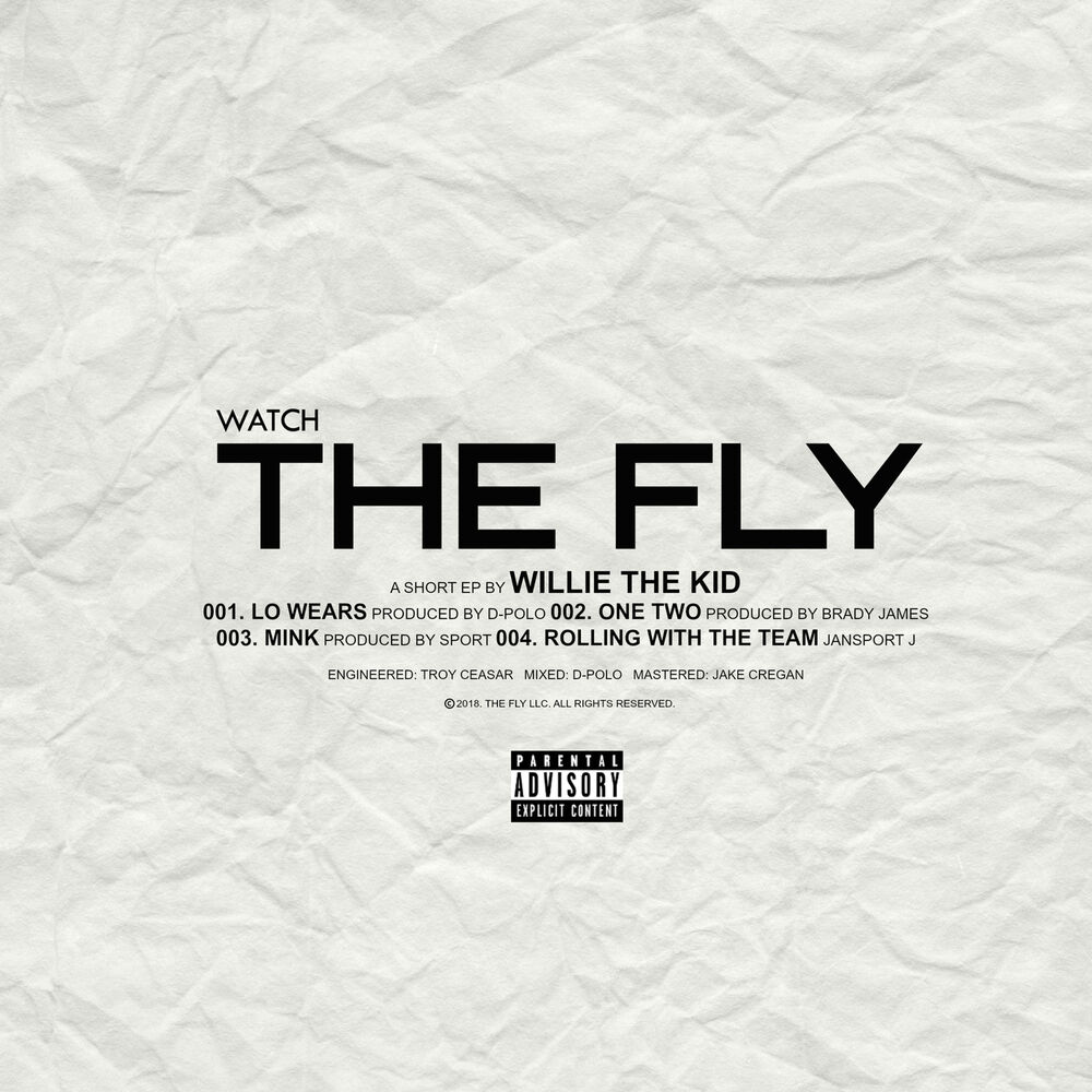 Picture of Watch the Fly