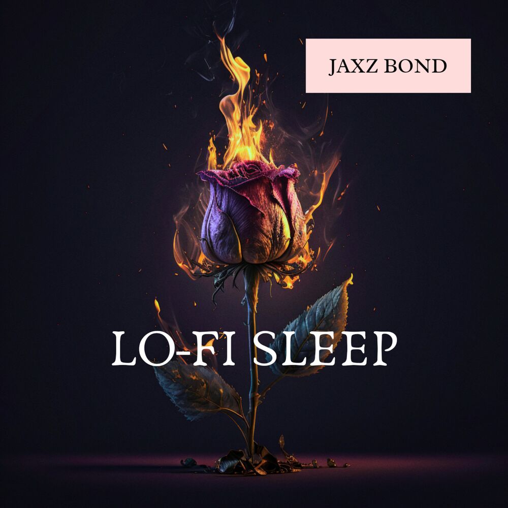Picture of Sleep