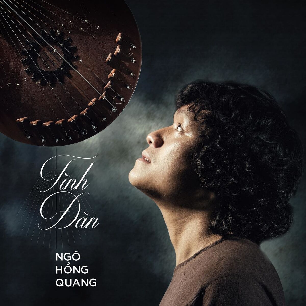 Album cover of Tình Đàn