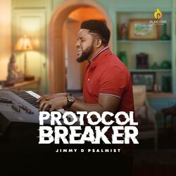 Cover of Protocol breaker