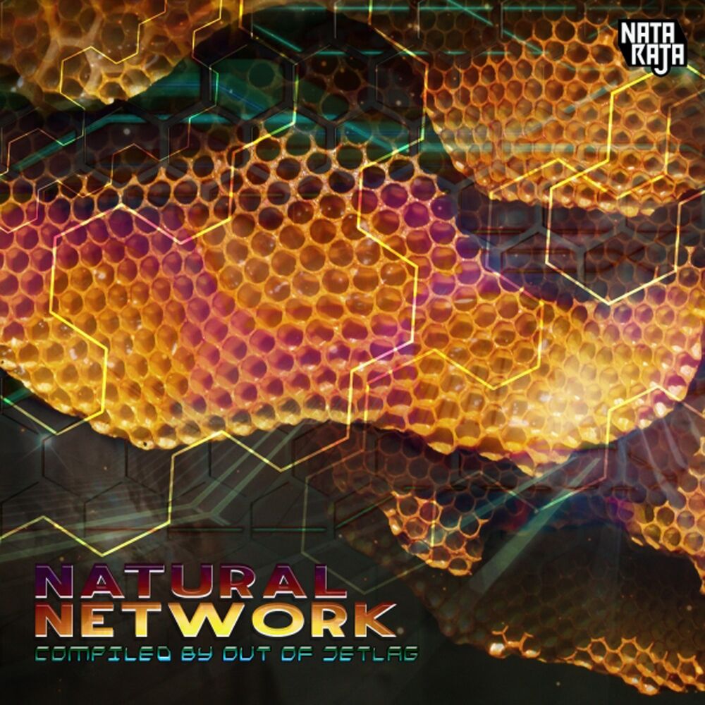 Picture of Natural Network