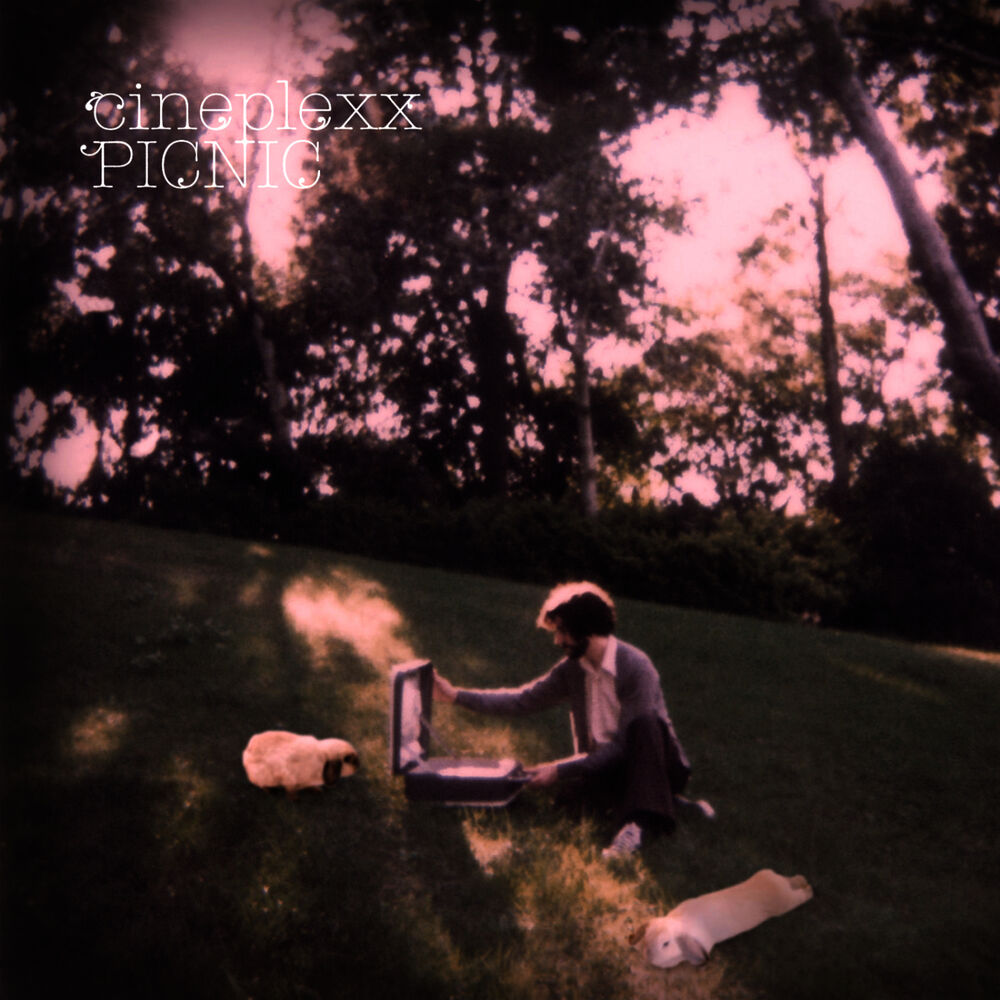 Picture of Picnic