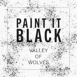 Cover of Paint It Black