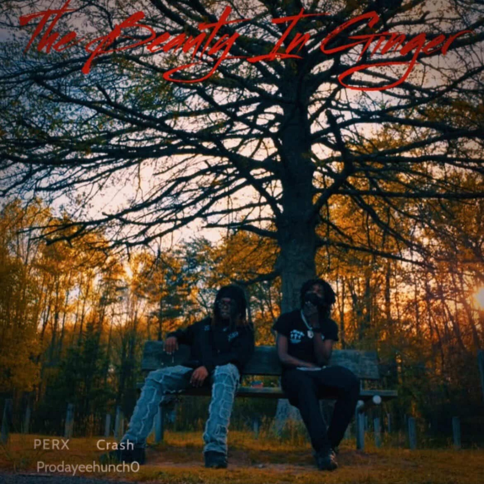 Album cover of The Beauty In Ginger (feat. Crash)
