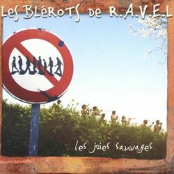 Cover of Les joies sauvages