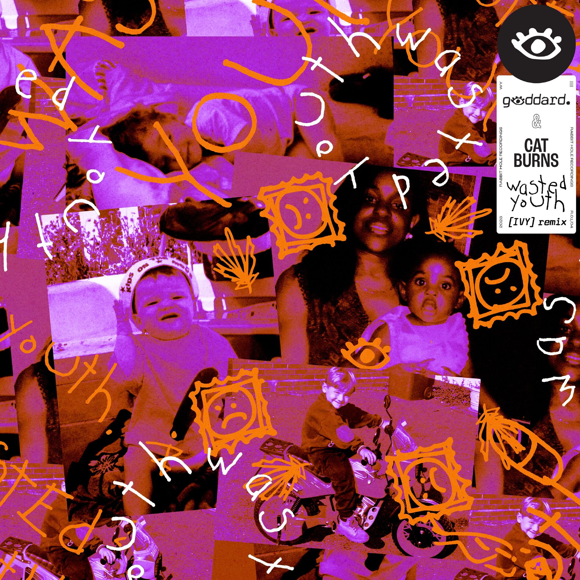 Album cover of Wasted Youth (feat. Cat Burns) (IVY Remix)