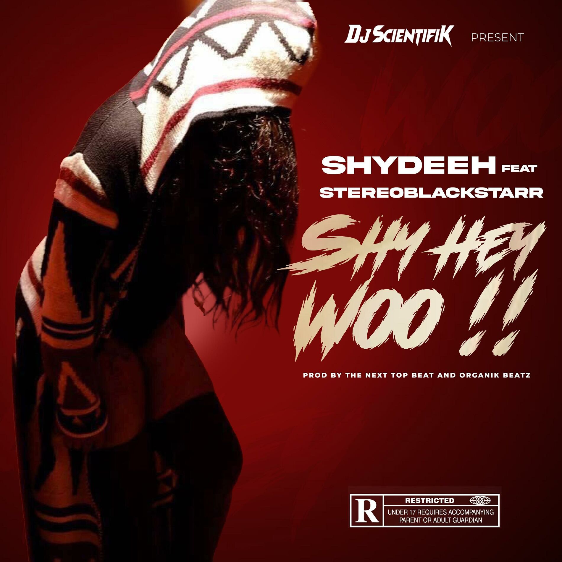 Album cover of SHY HEY WOO
