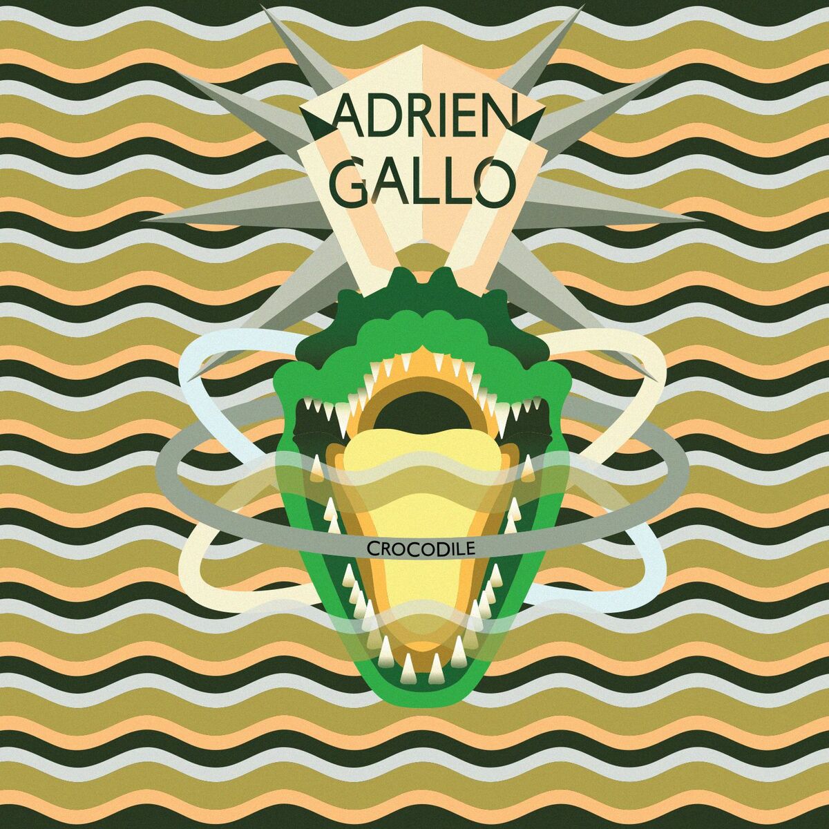 Album cover of Crocodile
