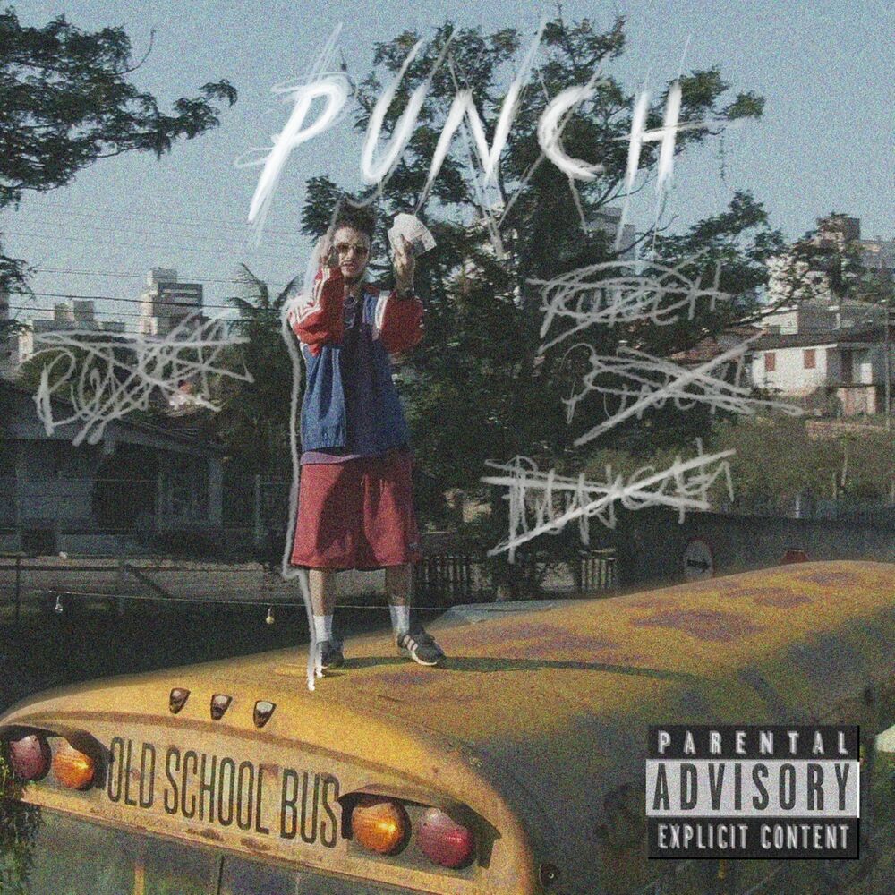 Picture of Punch