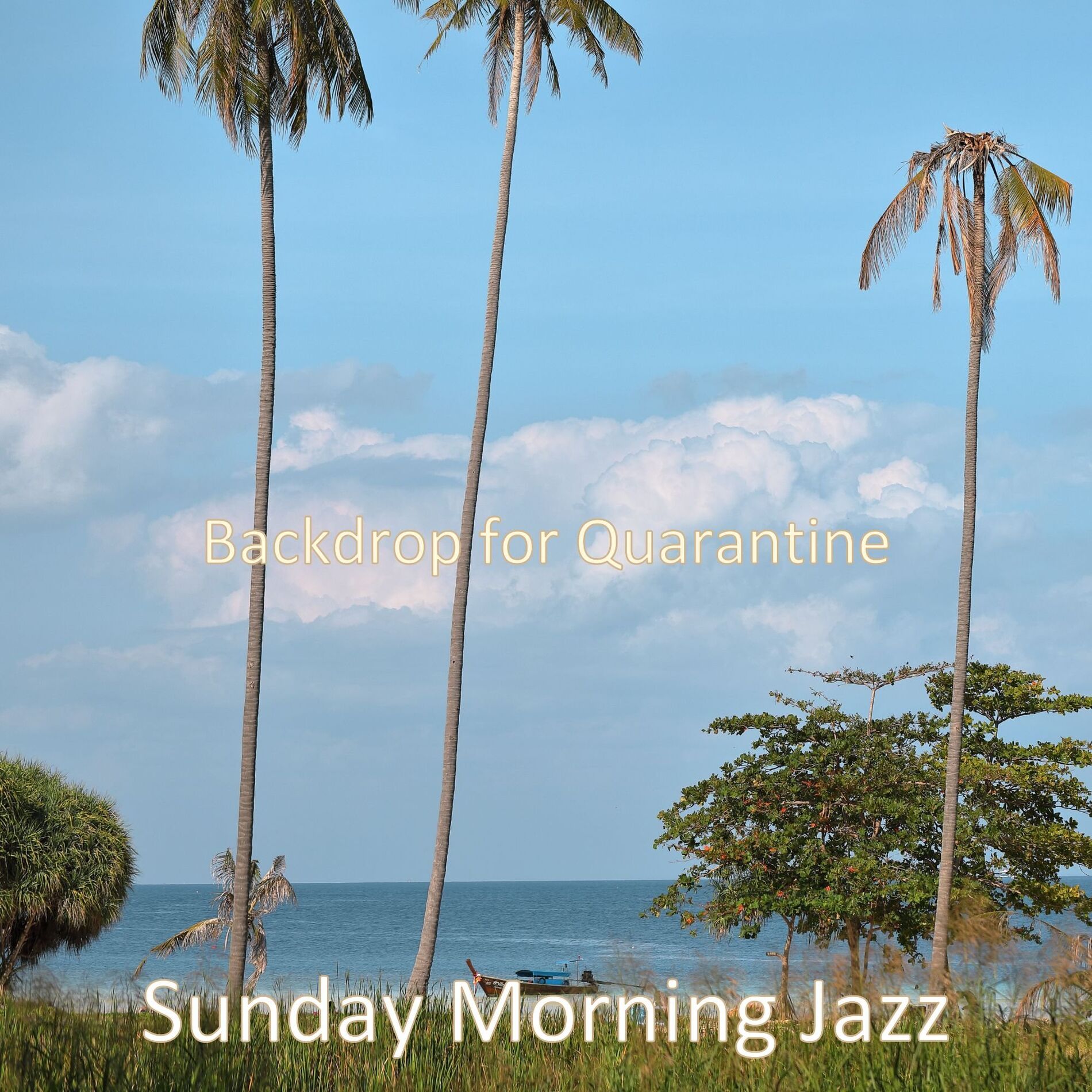Album cover of Backdrop for Quarantine