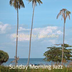 Cover of Backdrop for Quarantine